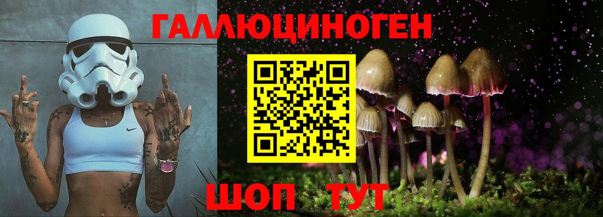Псилоцибиновые грибы Cubensis Знаменск