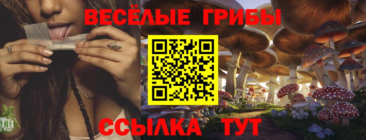 Галлюциногенные грибы прущие грибы  Вход с VPN  Знаменск 